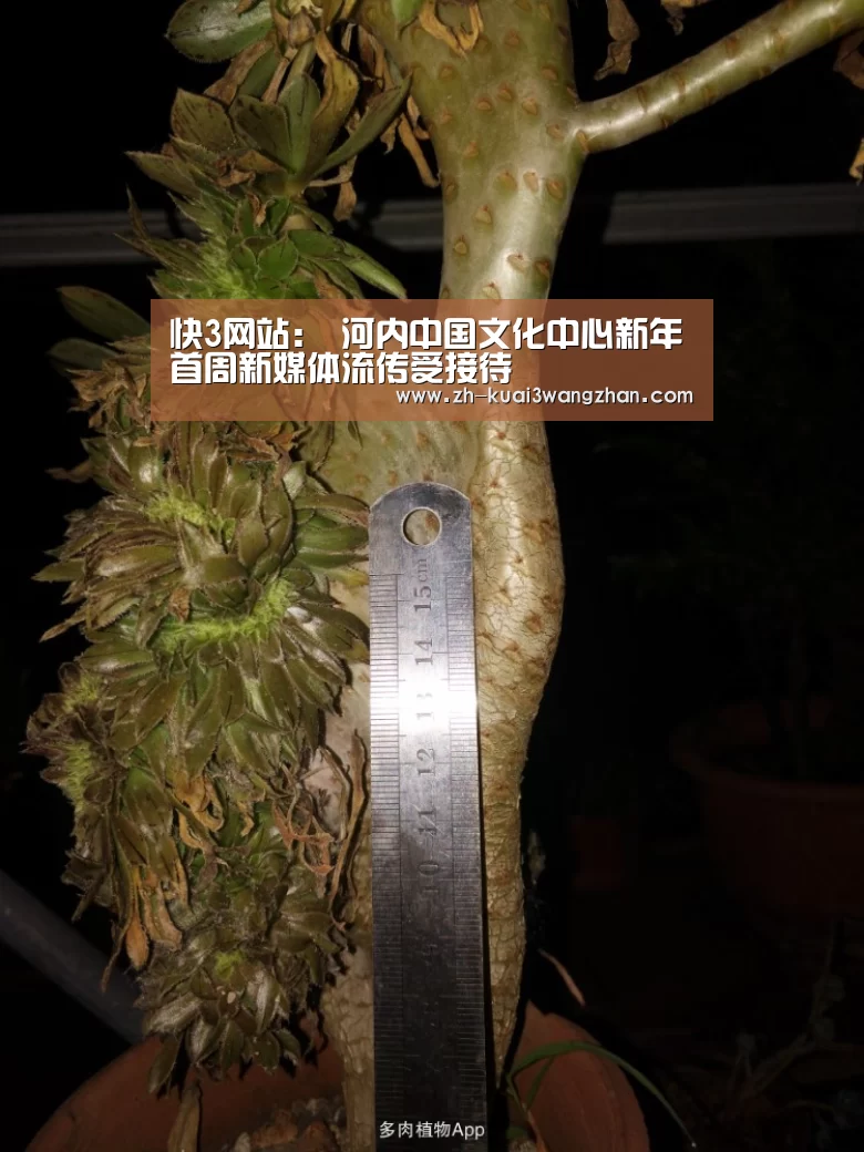 快3网站