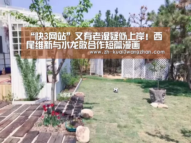 快3网站